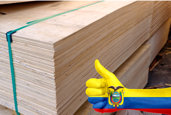 Ecuador, el campeón de la madera balsa - CECOMEX